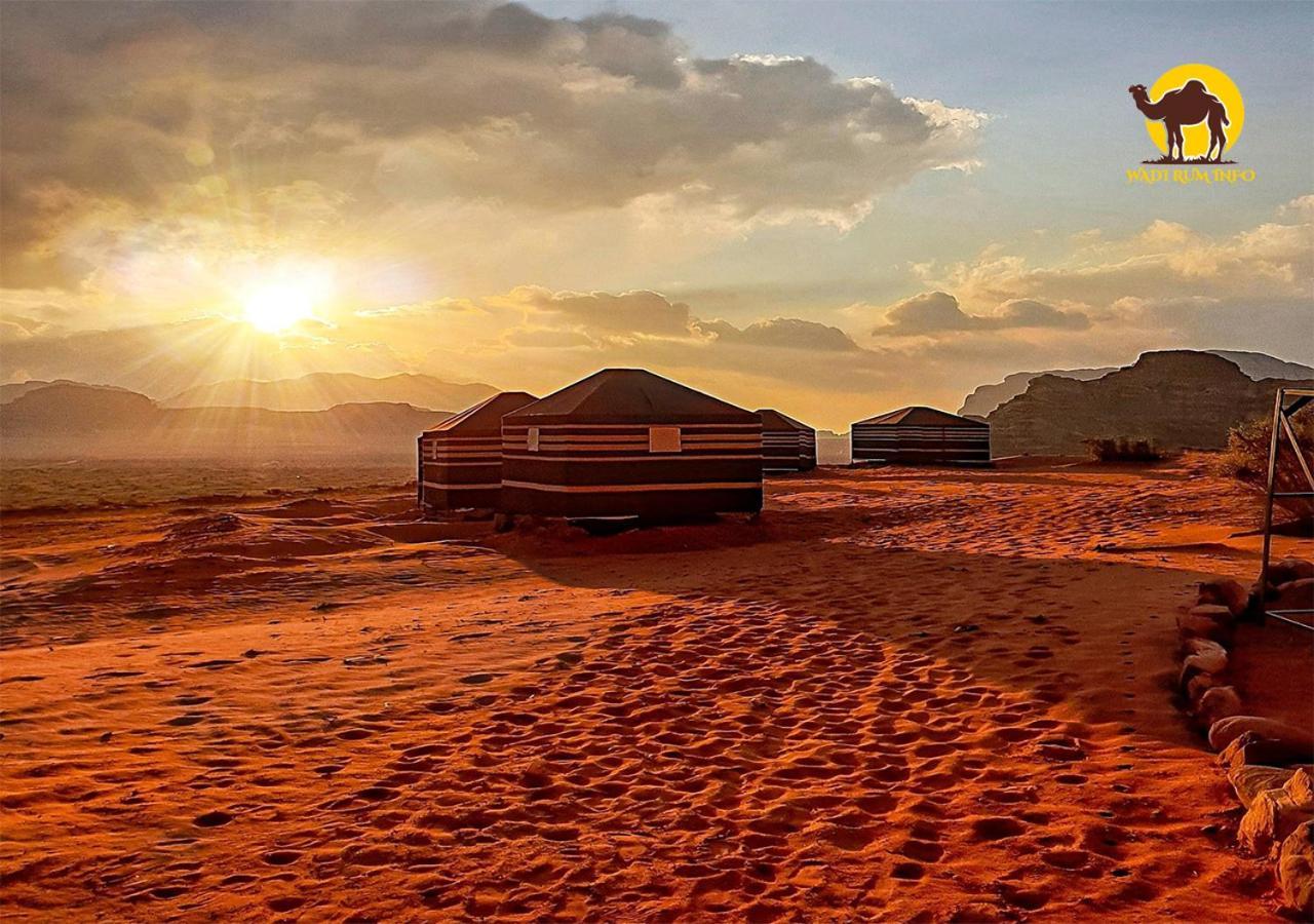 Wadi Rum Dew Εξωτερικό φωτογραφία