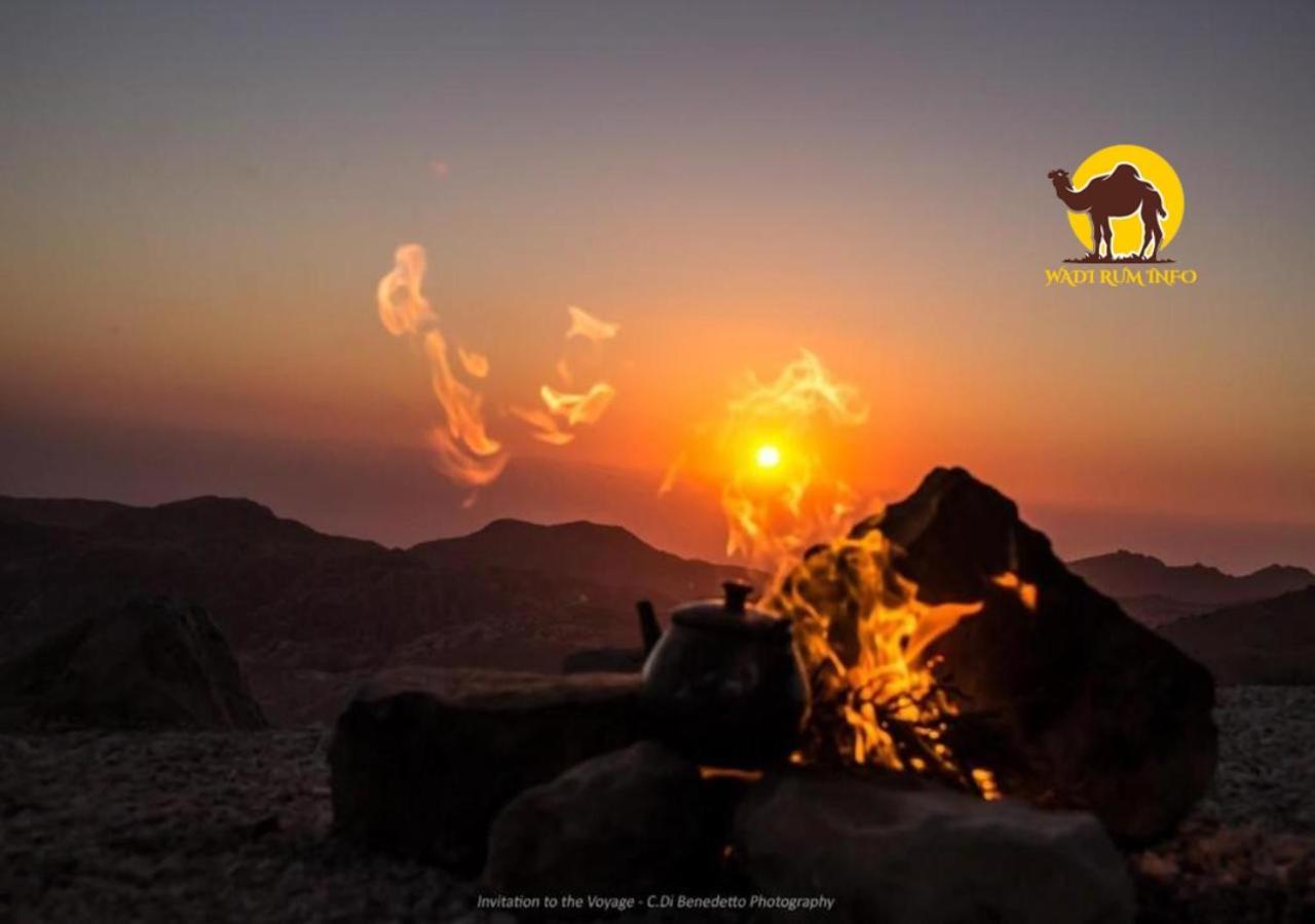 Wadi Rum Dew Εξωτερικό φωτογραφία