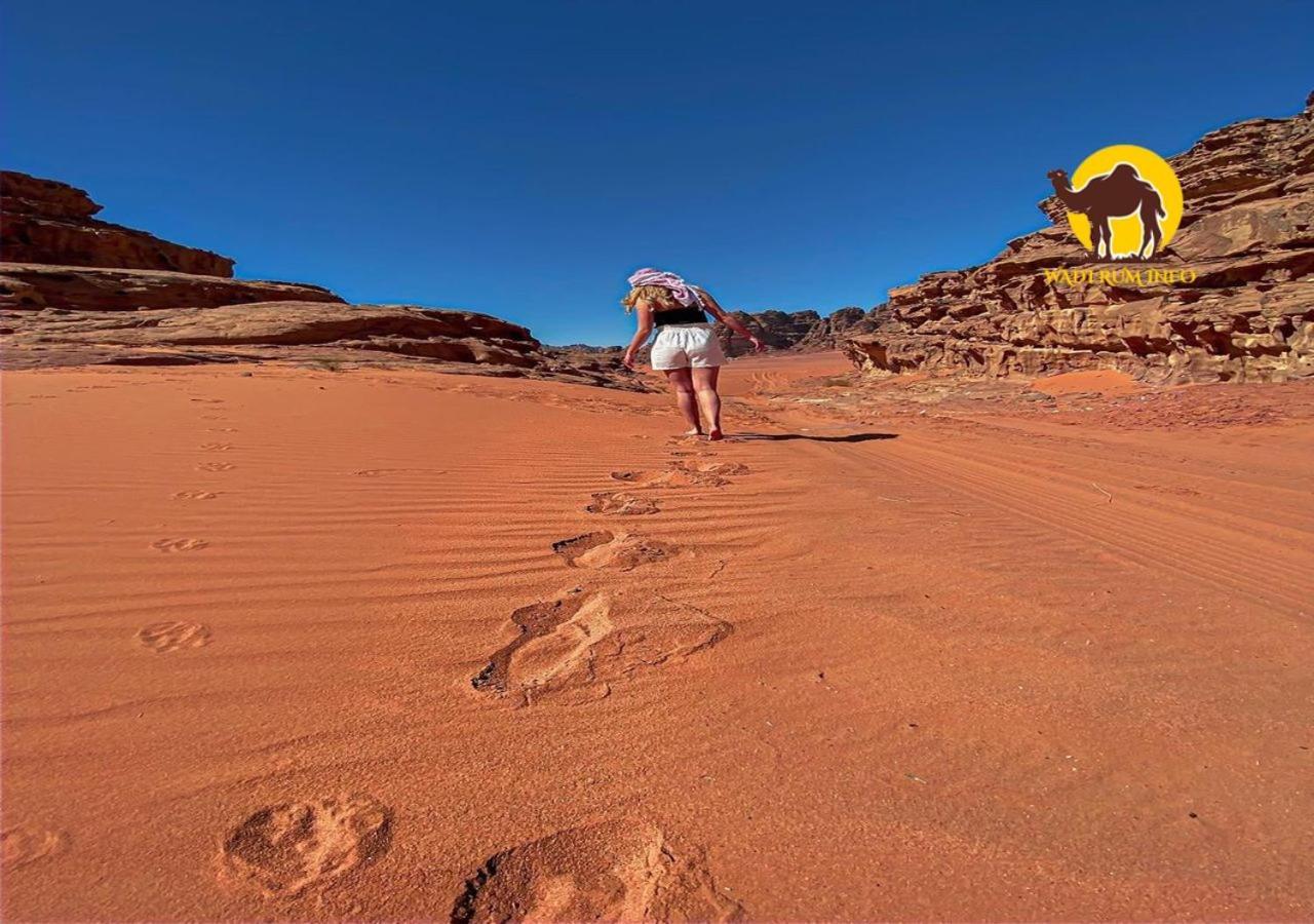 Wadi Rum Dew Εξωτερικό φωτογραφία